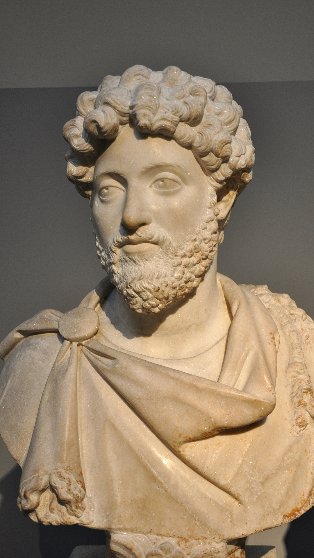 Marcus Aurelius Resized